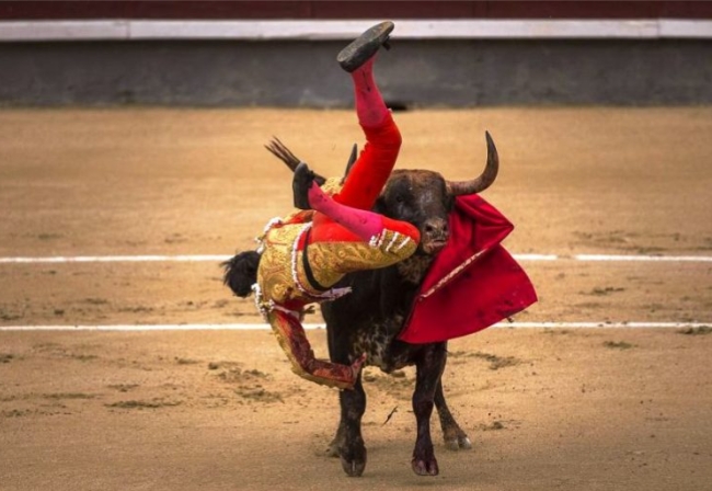 Literasi Digital Bagi Anak Bak 'Bullring', Sarat Pendampingan