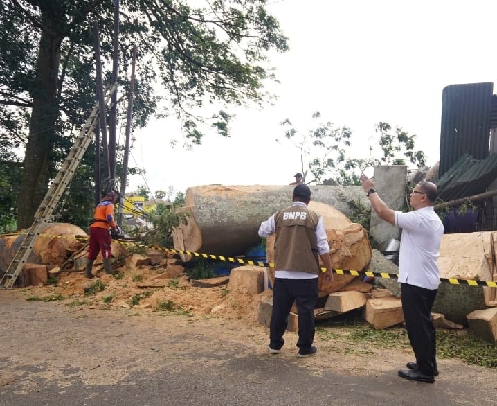 Kios Besi Tua Korban Pohon Tumbang Berikutnya di Kota Batu