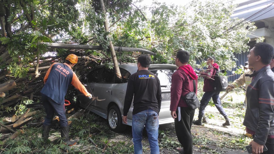 Insiden Pohon Tumbang di Kota Batu, Timpa 1 Mobil